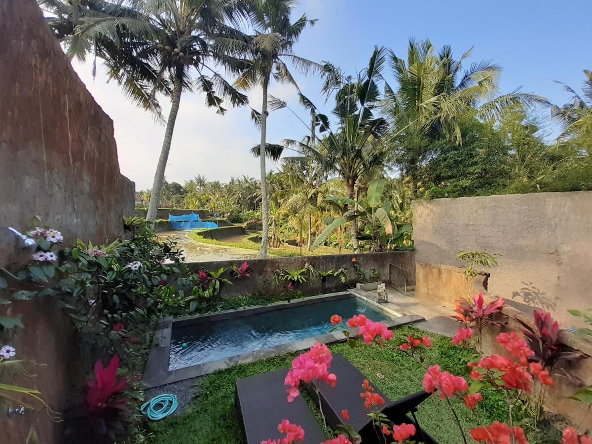 Hidden Point Villa Ubud Zewnętrze zdjęcie