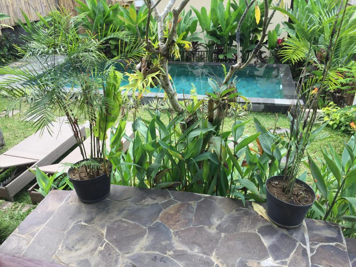 Hidden Point Villa Ubud Zewnętrze zdjęcie